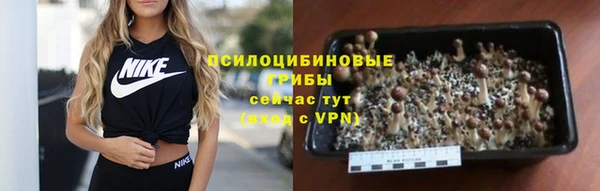 крисы Балабаново