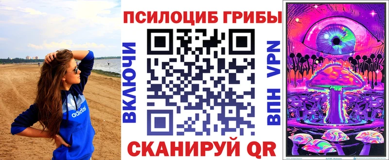 OMG как зайти  Гороховец  Псилоцибиновые грибы мухоморы  цена  
